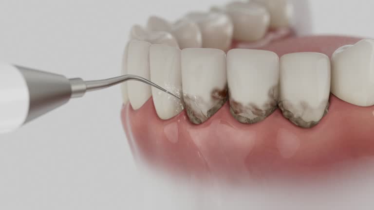 Reliable Dental contractor in Roscoe, IL by Dentist Open Now